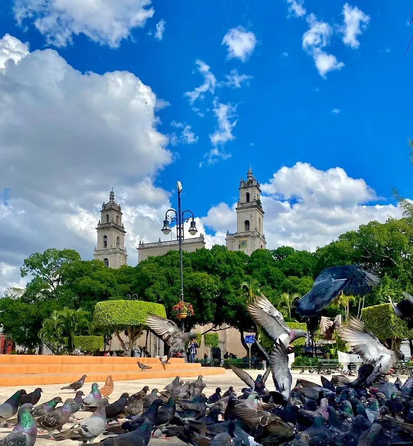 Hotel Casa Colonial González Mérida Pensión